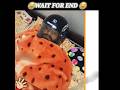 लोगो के गजब कारनामे 🤣 😂 |comedy |shorts |facts #funny #funnymemes #comedy
