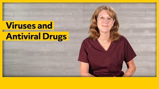 Viruses and Antiviral Drugs
