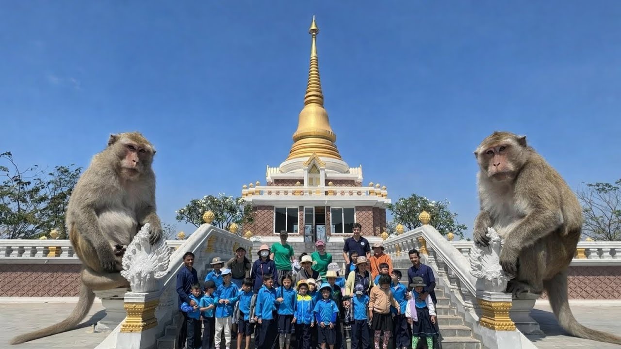 ថ្នាក់ស្វា | ដំណេីកំសាន្តនៅ​ រមណីយដ្ឋាន​ កសិ_ទេសចរណ៍​ ម៉ុងឫទ្ធី​ សែនជ័យ