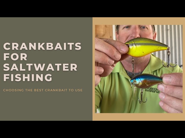 Crankbaits for Saltwater Fishing: Which to use & Best Rod N Reel Combos 