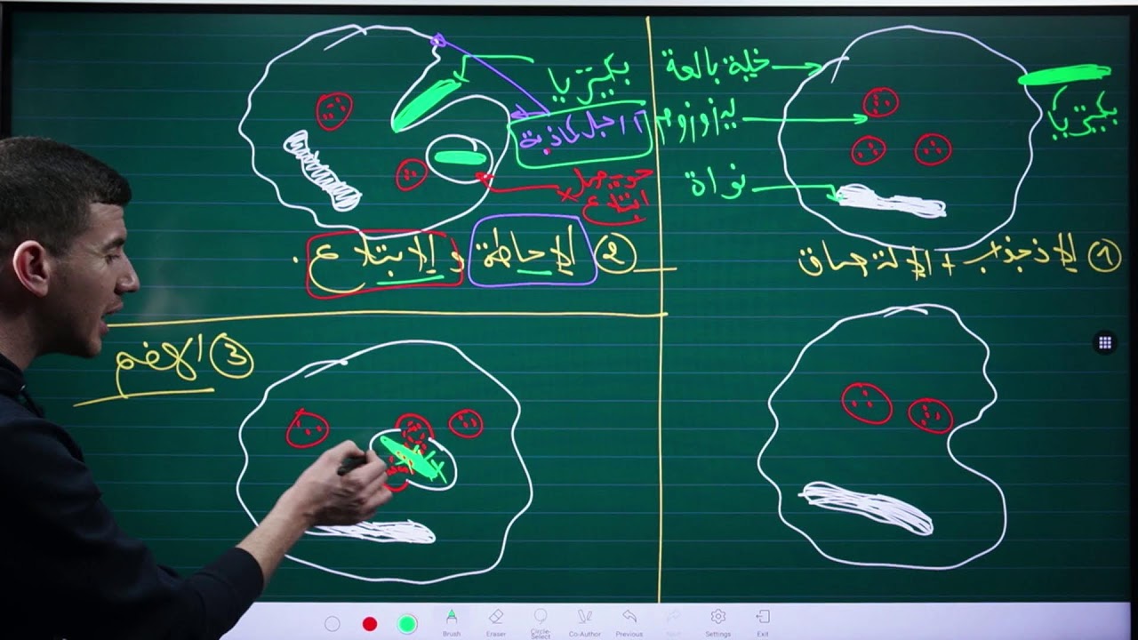بث مباشر | مراجعة النهائية حول المناعة - مادة علوم الطبيعة والحياة | BEM | منصة ناجح