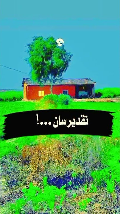 Ha majho tha wachre weyo aahen par Kahn kha wesreyo new Whatsapp status Sindhi  @ViloggerX_aziz_8157