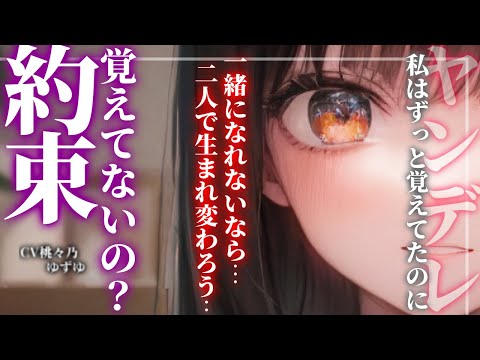 【ヤンデレ/バッドエンド】玄関を開けたらすっかり忘れた約束を引っ提げてヤンデレ女が待っていた【男性向けシチュエーションボイス】