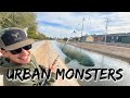 You Won&#39;t Believe What I Caught in the City Sewer!!