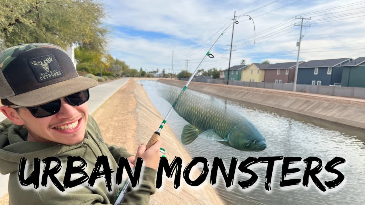 You Won't Believe What I Caught in the City Sewer!!