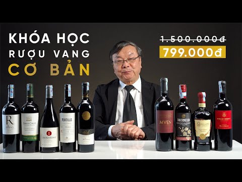 Khóa Học RƯỢU VANG CƠ BẢN & VĂN HÓA THƯỞNG THỨC Rượu Vang [Trailer] | Wine Legends