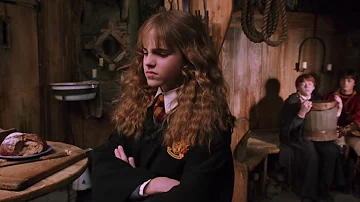 Is Hermione a Muggle or Mudblood?
