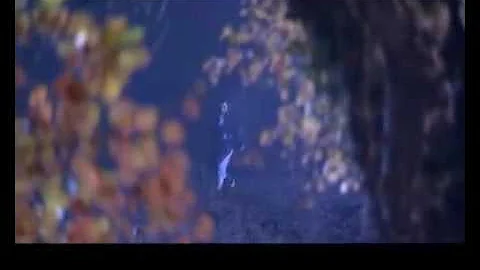 小龍女被點穴後被奪去處子之身，醒來後卻不知是誰做的 - 天天要聞