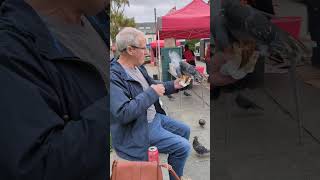 Bird Lands on Burger While Being Fed