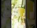 #sapanakofal #dreammeaning #sugarcandream #sugarcane #ukhukosapana #dream #shorts #short #shortvideo