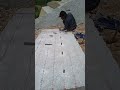 # granite short videos