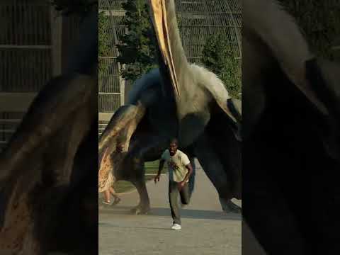 QUETZALCOATLUS GOES ON A RAMPAGE!!!