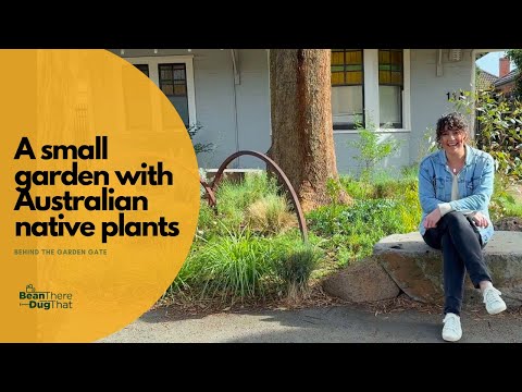 Small Garden Design Ideas A Garden Makeover Behind The Garden Gate 