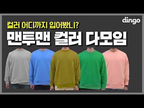 [광고] 컬러풀한 맨투맨 코디 모음, 꾸안꾸? 데일리룩? 고민 ㄴㄴ해~ l TNGT 맨투맨 스타일링 (TNGT 광고 포함)