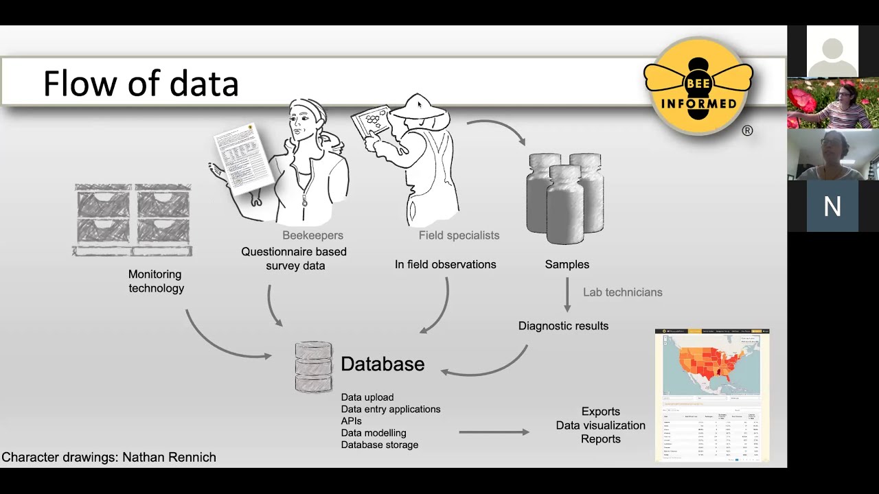 Between the Datasheets: How IT Supports BIP Data - YouTube