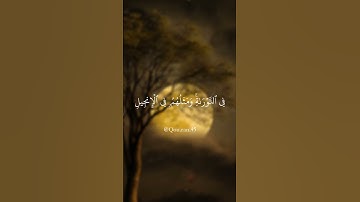 ﴿محمد رسول الله...﴾ تلاوة عطرة للقارئ الشيخ فارس عباد 🍂