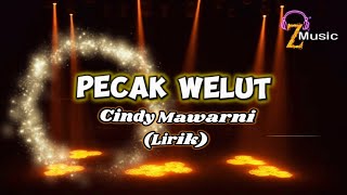 PECAK WELUT - Cindy Mawarni (lirik/ lyric) lagu TARLING hits #trending #viral