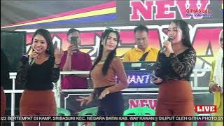 CAK CULAI  NABUI NABUI BERSAMA ZEVARA LIVE SRIBASUKI