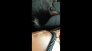 IMG 4691
