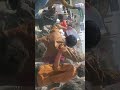 بروح بدم نفديك يا اقصى من مديرية يافع الحد قطنان الشيوحي مدرسة عبدالله بن عباس بروح بدم نفديك يا اقصى من مديرية يافع الحد قطنان الشيوحي مدرسة عبدالله بن عباس