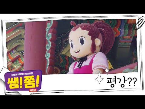 공주님, 여긴 어인 일로?! 한국사 대모험 평강공주 실사 공개! 설쌤과 함께하는 세상 모험│쌤!쫌!