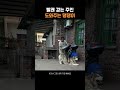 빨래 걷는 주인 도와주는 빨래 걷는 주인 도와주는