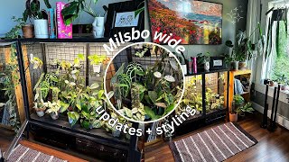 all of the plants in my ikea greenhouse cabinet + how I&#39;ve styled it (milsbo wide edition)