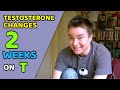 2 Weeks On Testosterone | Early Emotional Changes (FTM)
