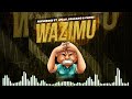 Wazimu Official Music Audio By Fayheroes Ft 2plus X Clone X Volcano