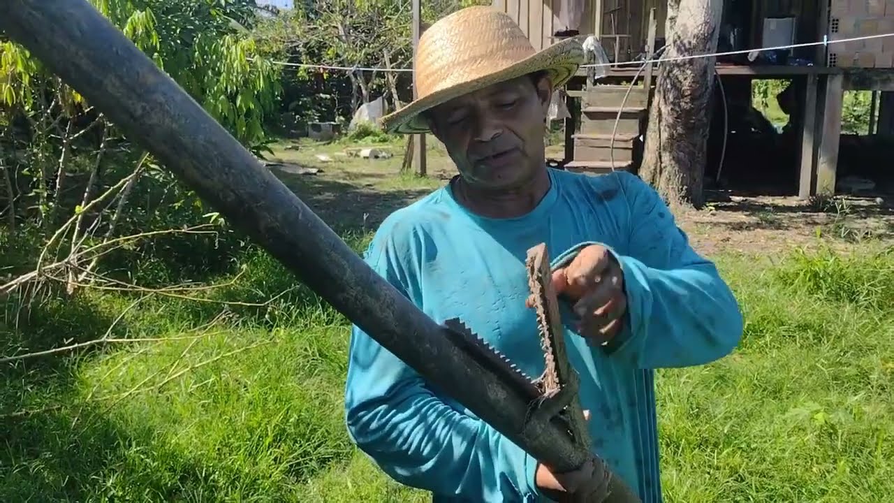 PLANTANDO MAMÃO E TIRANDO MACAXEIRA NA COSTA DO PARATARI MANACAPURU AM