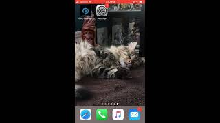 GHL ProfiLux Mini (WiFi) Aquarium Controller – Connecting to You Home Network using your iPhone screenshot 4