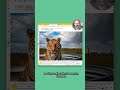 Bellyflop your way to productivity with Web Panels 🤓