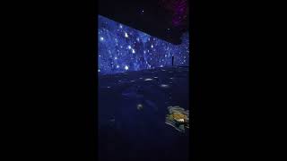 Beyond Van Gogh immersive experience 