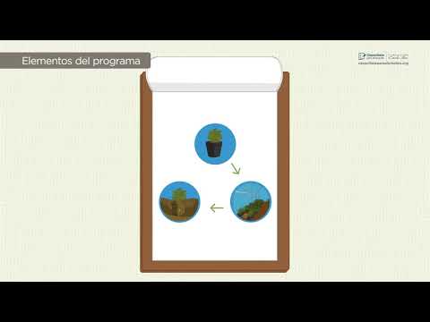 Ejecución del Programa de Exploración Minera - Nivel 2. Lección 1.3