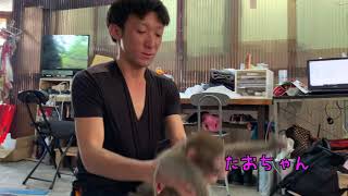 お猿さんとの楽しい日常