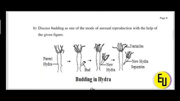 JKBOSE Class 8th Solved Science Model Paper 2023 #jkbose #viralvedio
