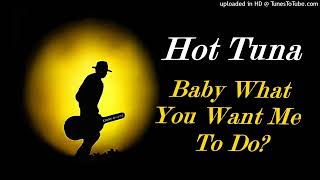 Hot Tuna - Baby What You Want Me To Do? (Kostas A~171)
