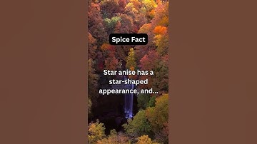 🌶️ Unveiling Secrets of Popular Spices! 🍂  #facts #spices #knowledge  #herbs