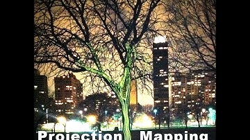 Projection Mapping on Trees- George Berlin www.georgeberlin.com