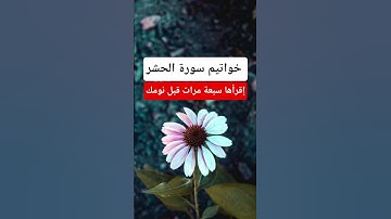 إقرأ خواتيم سورة الحشر قبل نومك تحصين شديد جدا