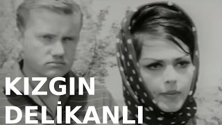 Kızgın Delikanlı - Eski Türk Filmi Tek Parça