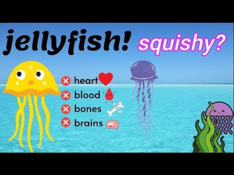 How to make a JELLYFISH - Kitchen Fun With My 3 Sons