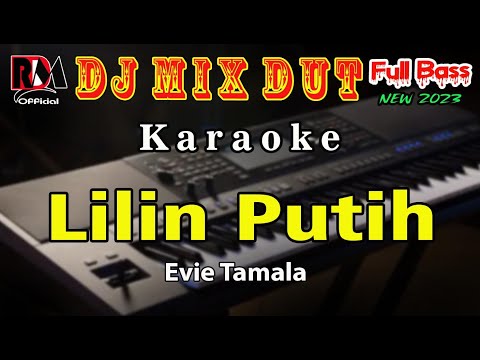 DJ LILIN LILIN PUTIH || DJ DANGDUT REMIX SLOW TERBARU 2025 || FULL BASS SANTAI