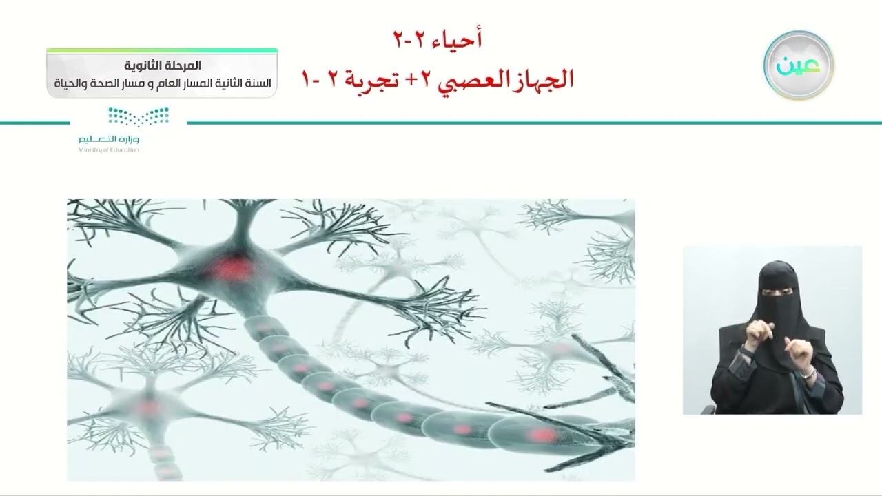 الجهاز العصبي 2 + تجربة 2 -1 - الأحياء (2-2) - المسار العام والصحة والحياة - السنة الثانية