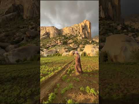 لوحة فنية ناطقة