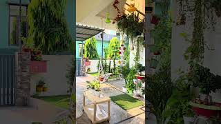 New garden setup in hanging plants 🪴🍃 #viral #garden #home  #youtubeshorts #fyp #indoorgarden