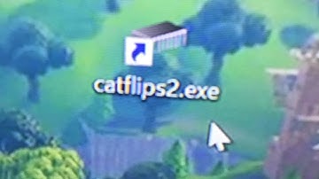 catflips2.exe #Parallel100kRC