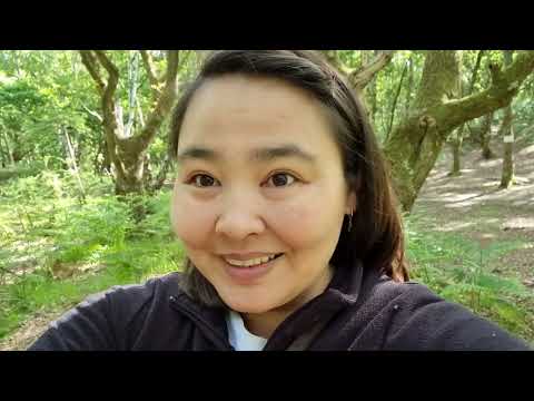 Нелегально в Великобританию, казахи в Великобритании, что ждёт вас, причины и следствия