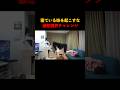 寝ている妹を起こしたら負け #家族 #面白い #チャレンジ