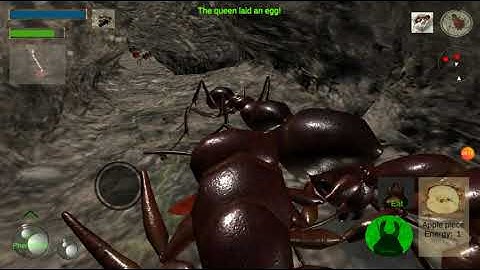 ant simulator!!!